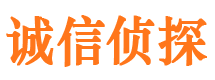 治多侦探公司